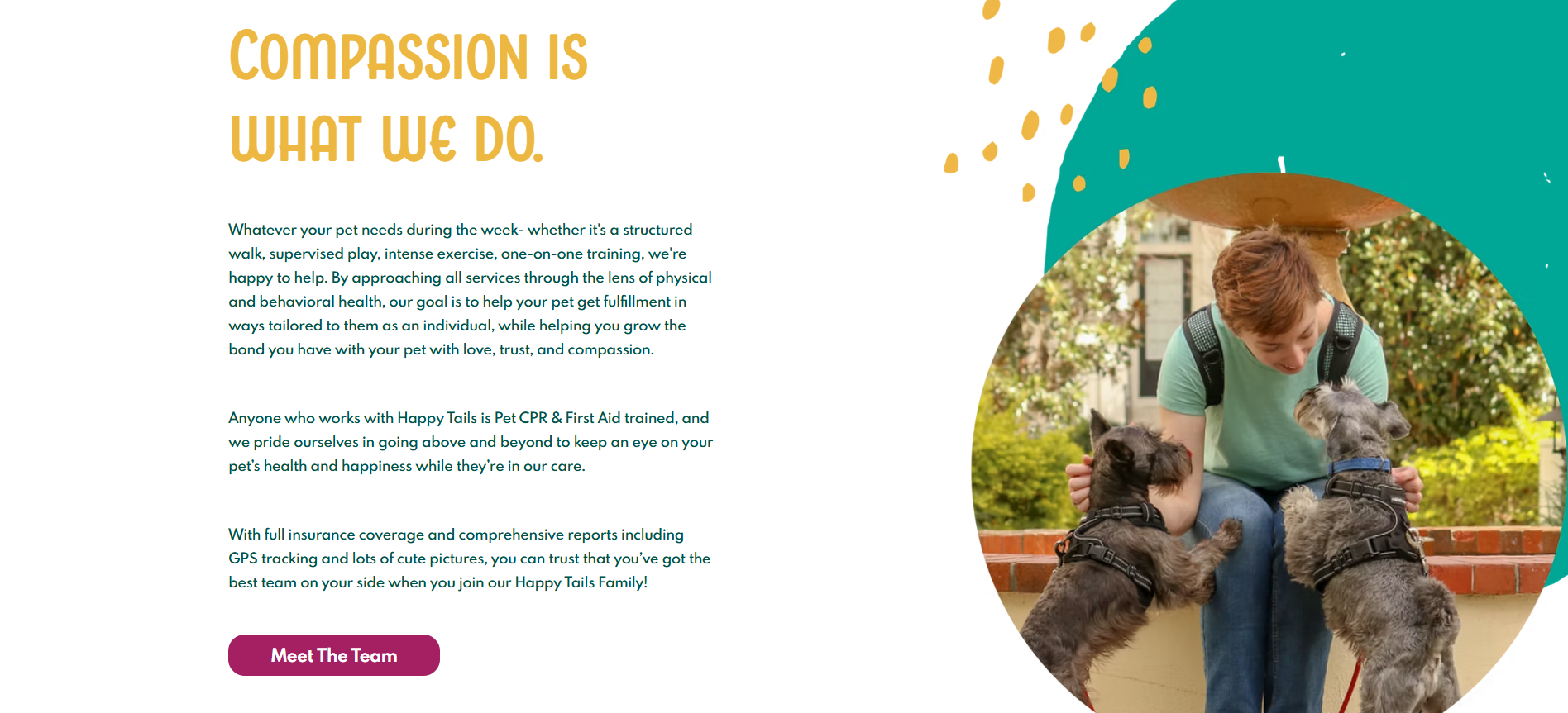 Compassion and Care Section